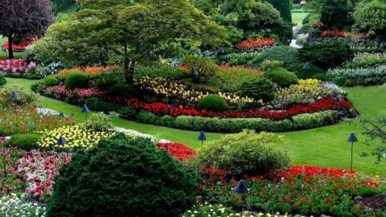 Image of garden with variety of plants neurodiversity affirming care autism adhd neurodiversity affirming therapy online courses minnesota florida arizona ohio telehealth