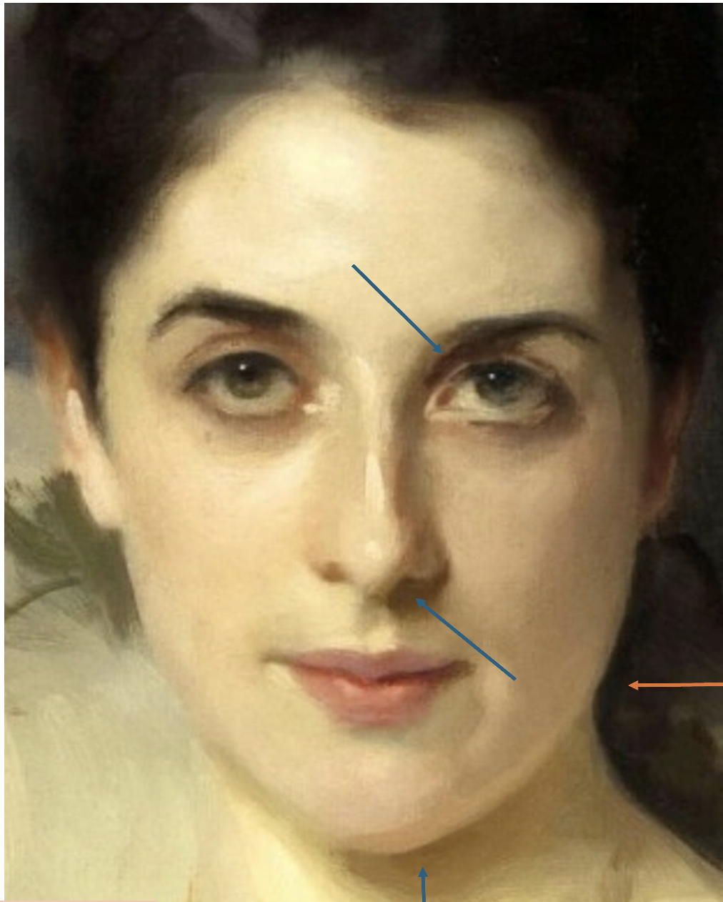 Sargent's Lady Agnew with arrows showing sharper edges where the plane changes suddenly, around the nose