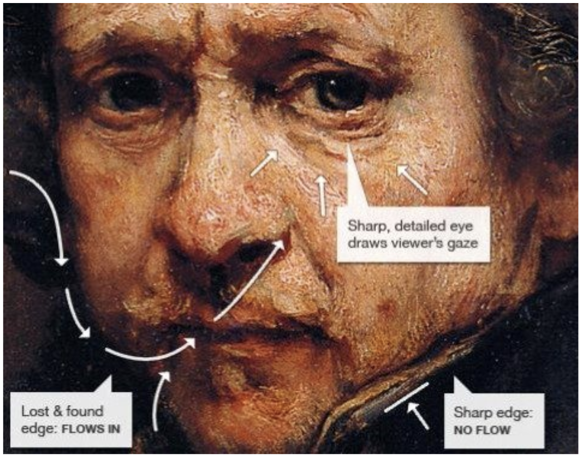 Close-up of a portrait with notes showing a sharp, detailed eye drawing the gaze and lost and found edges guiding the eye