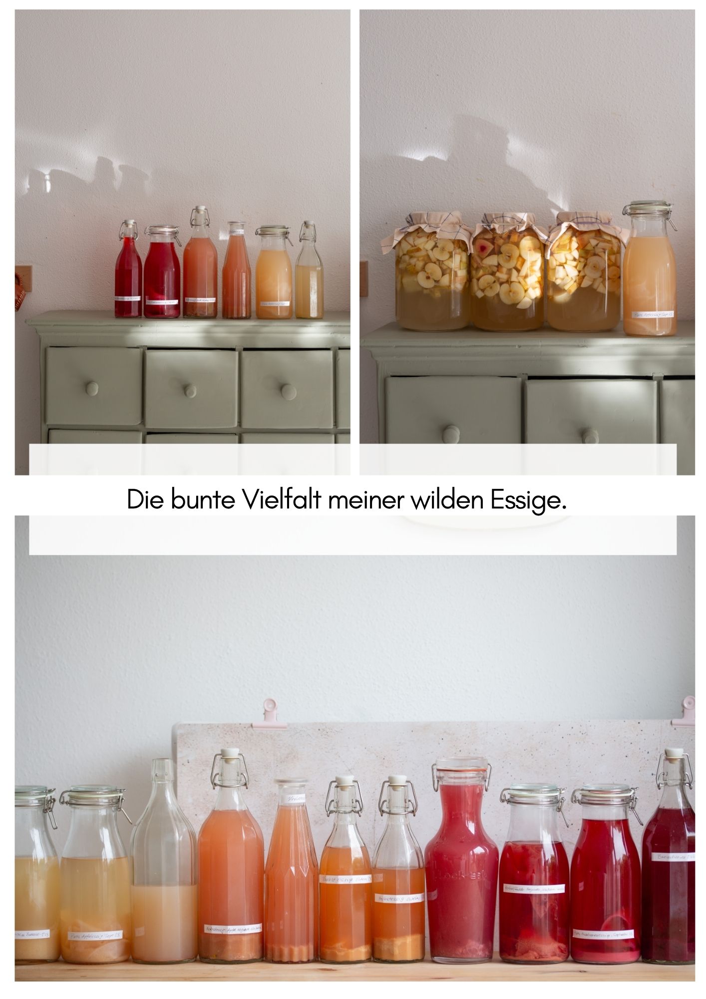 Verschiedene bunte Fruchtessige in Flaschen