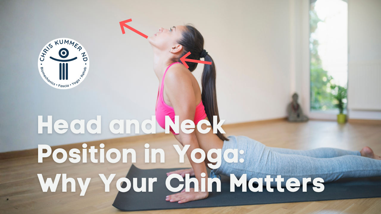 Head and Neck Position in Yoga: Why Your Chin Matters