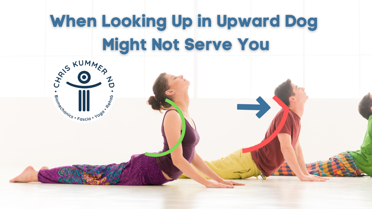 neck stability in backbends