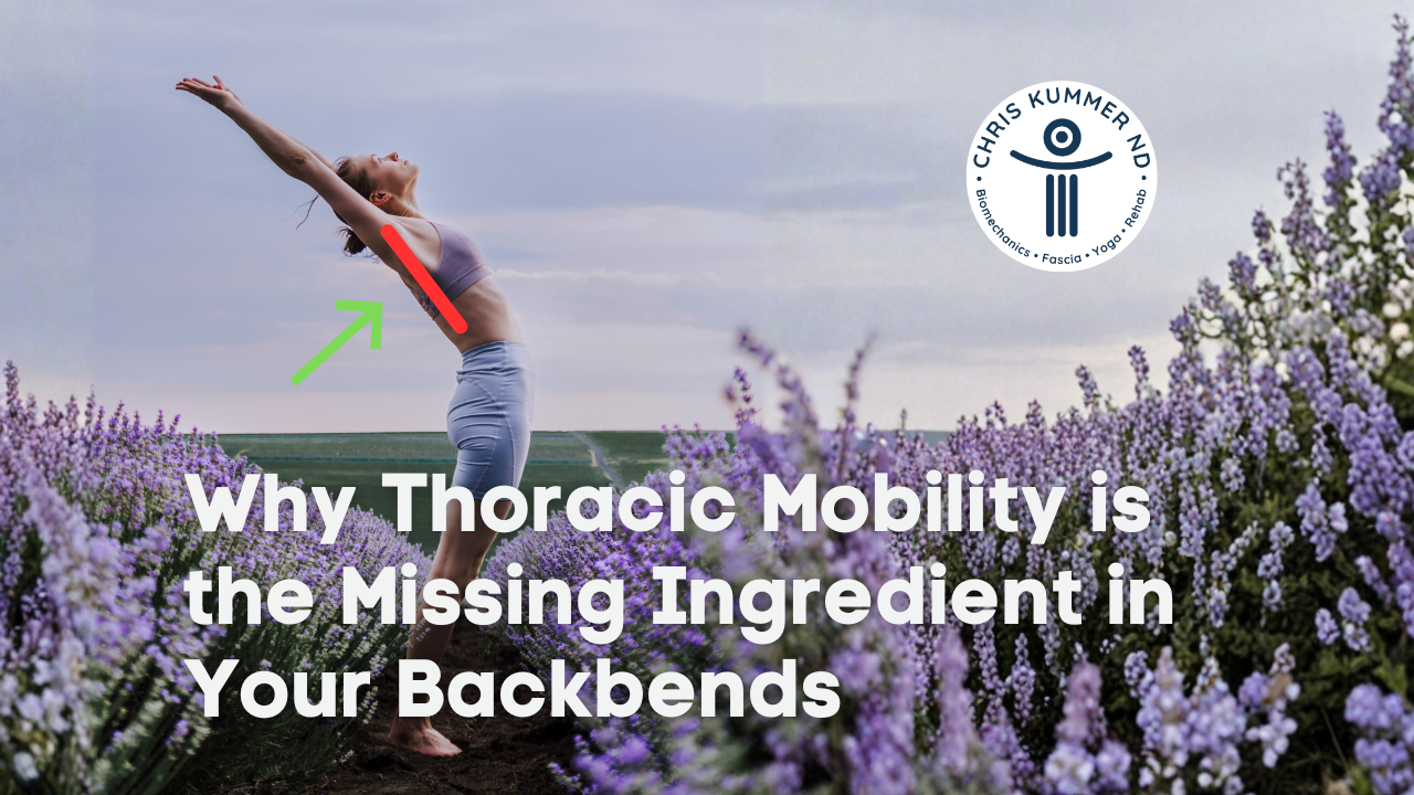 Thoracic Mobility - the Missing Ingredient in Backbends