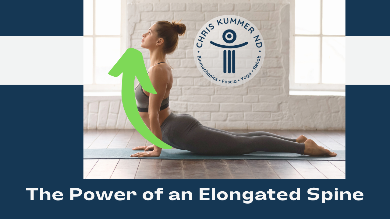 Elongated spine for better back bends