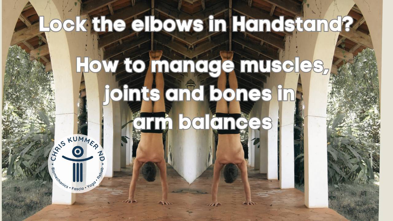 Elbow position in handstands