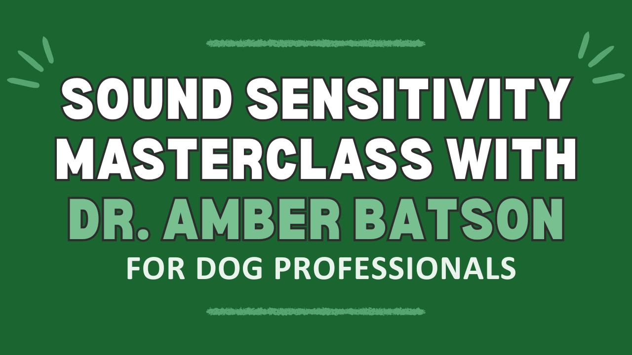 Sound Sensitivity Masterclass with Dr. Amber Batson for dog professionals, featuring bold white and green text on a dark green background