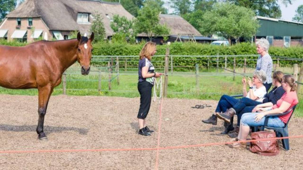 Kan je leidinggeven als hooggevoelig mens?