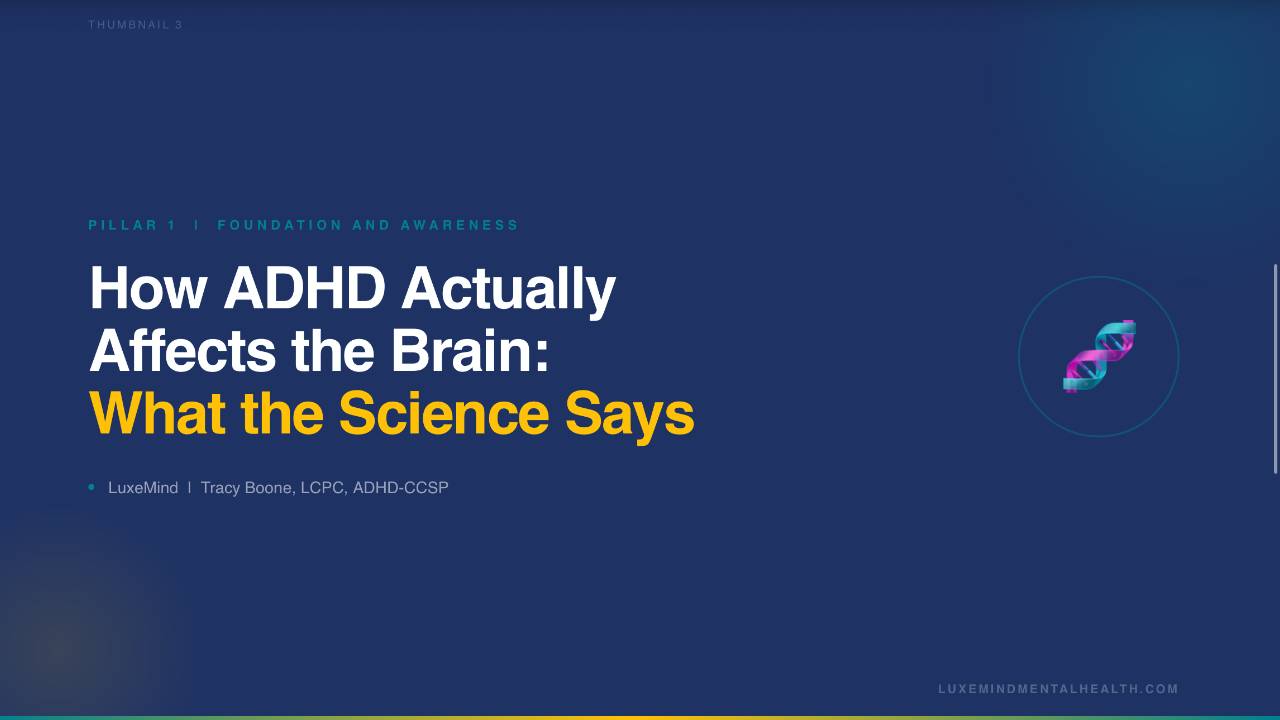 How ADHD affects the brain neuroscience explained