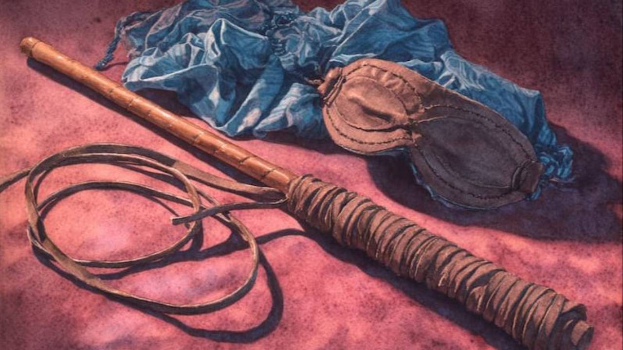 crop, bilindfold and lingerie ready for a fun night