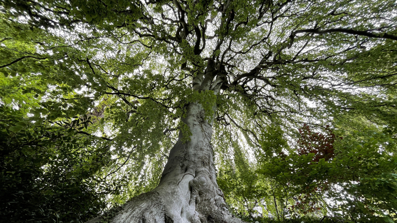 ystemische Aufstellung Zürich – Gruppe in Aufstellungsarbeit