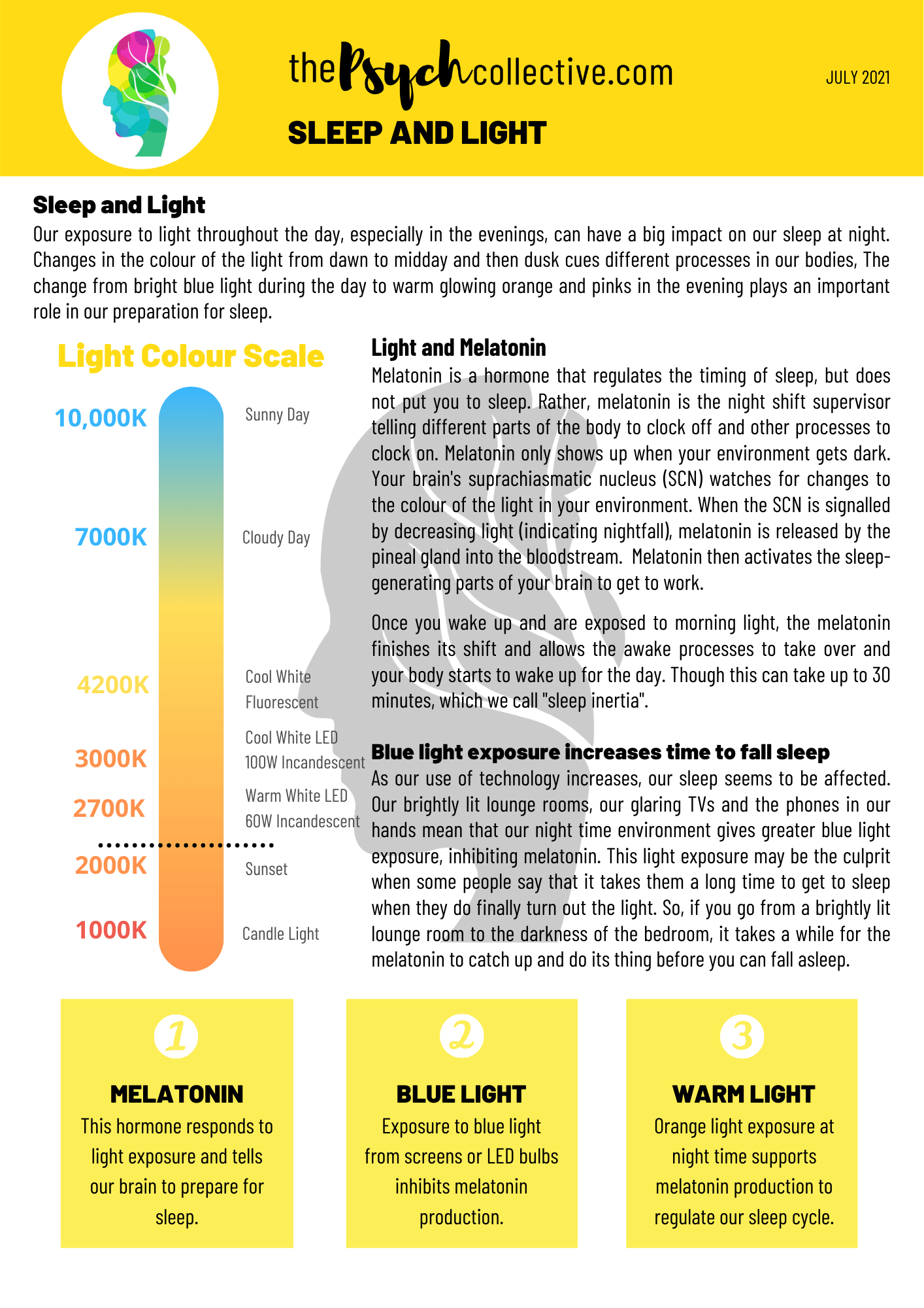 sleep and light handout