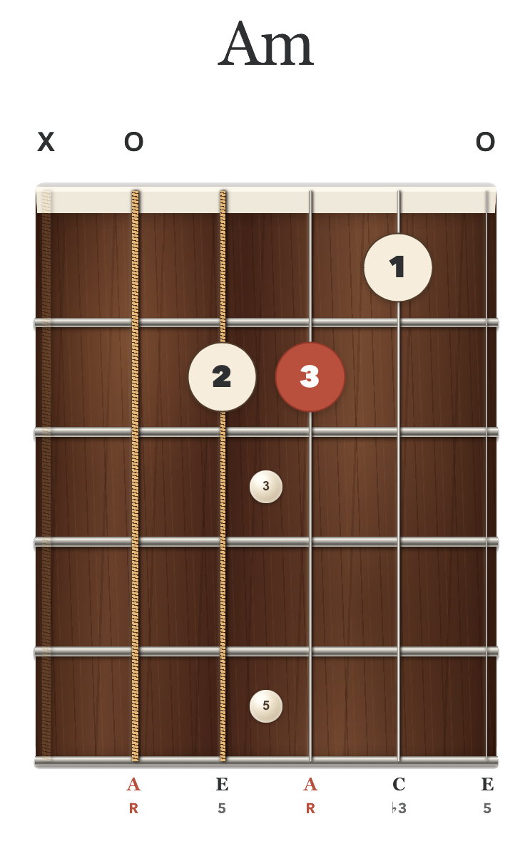 Am chord diagram: index finger on B1, middle finger on D2, ring finger on G2; A and high E open, low E muted.