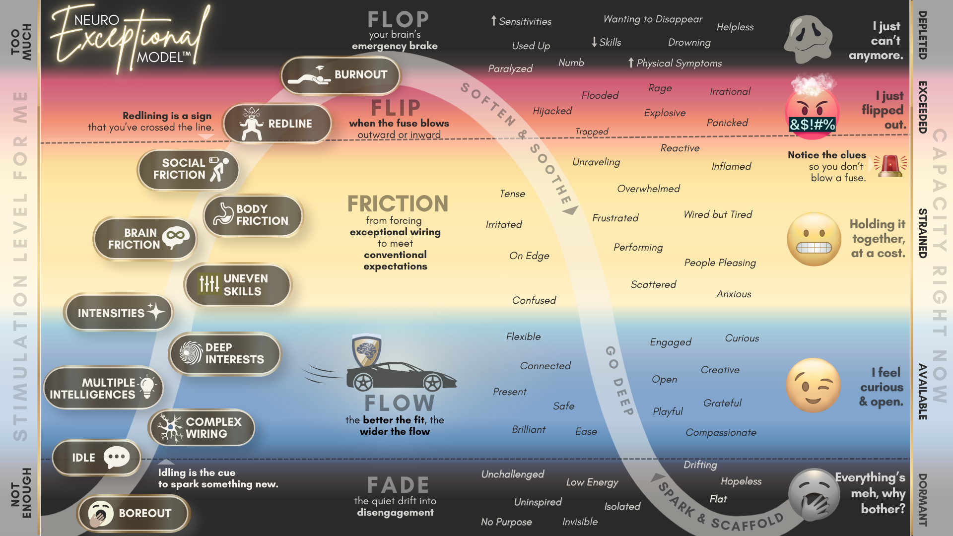The full NeuroExceptional Model&trade; showing the Flow, Friction, Flip, Flop, and Fade zones.