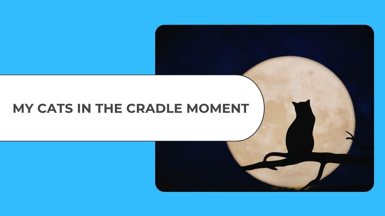 Silhouette of a cat sitting on a branch under a full moon representing reflection, time passing and generational patterns, 'Cats in the cradle style'
