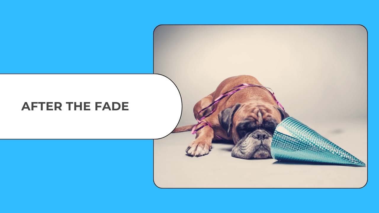 Tired dog in party hat representing post-new year's celebration fatigue and reflection