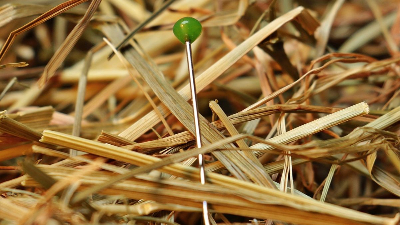 overcoming adversity