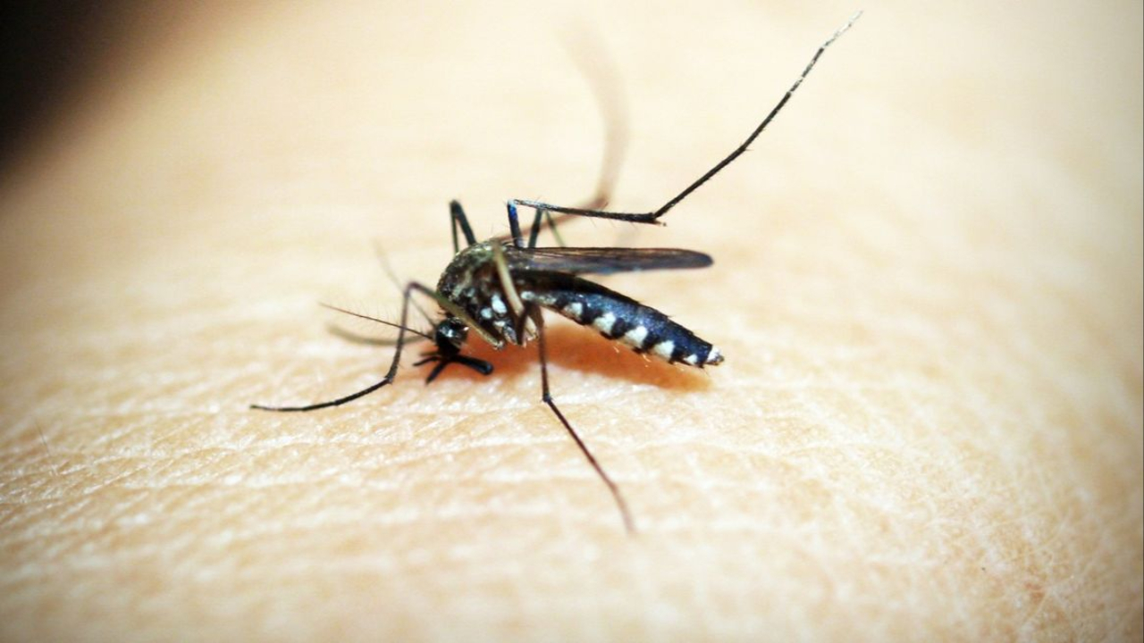 overcoming adversity