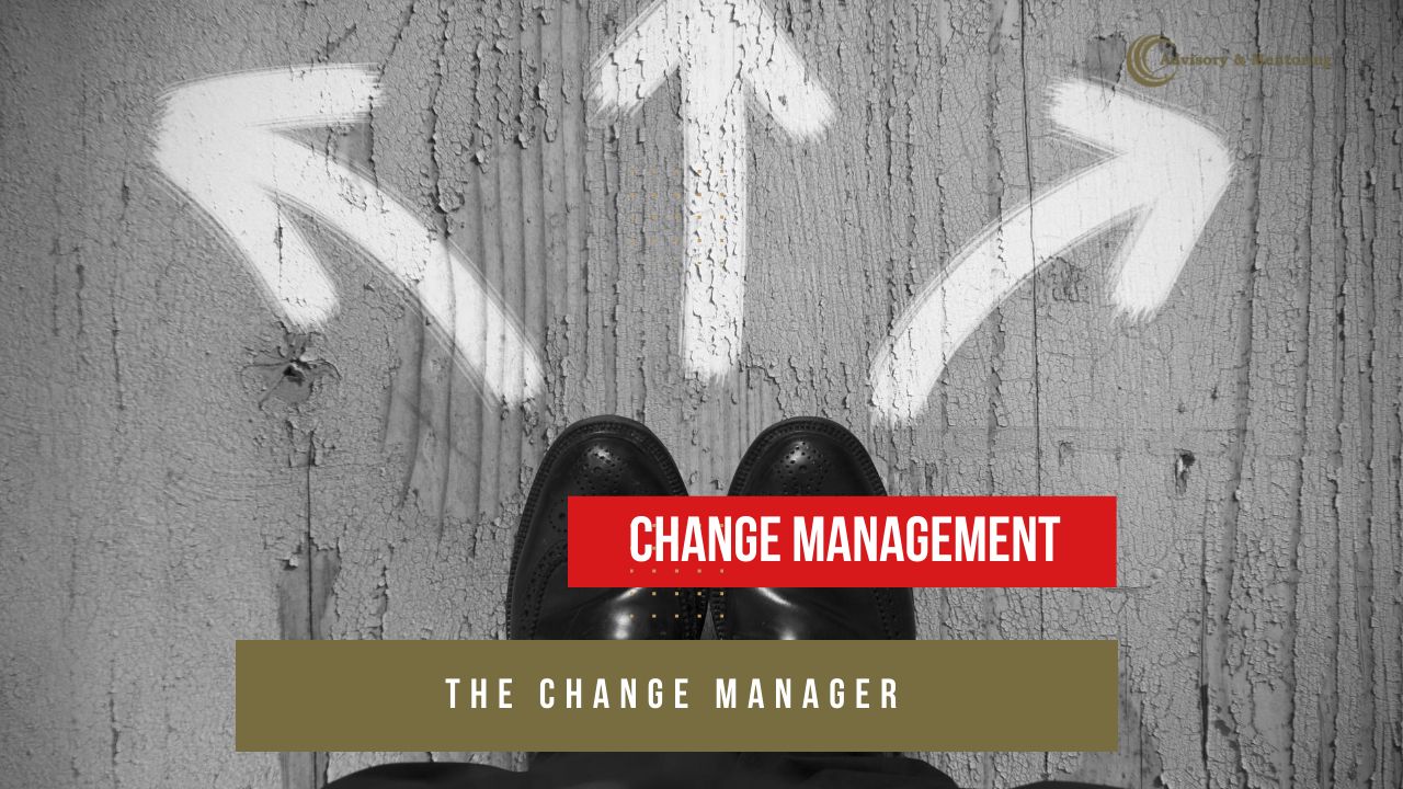 project success comes from the change manager 