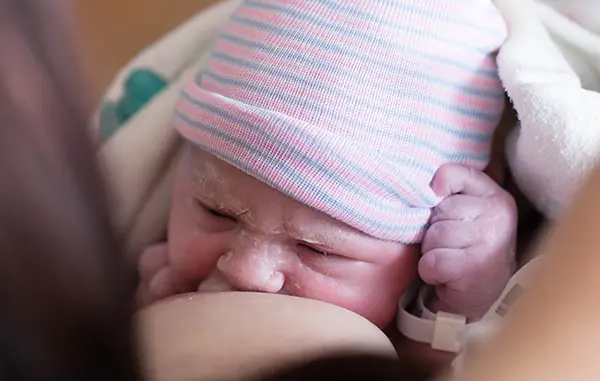  Newborn baby feeding