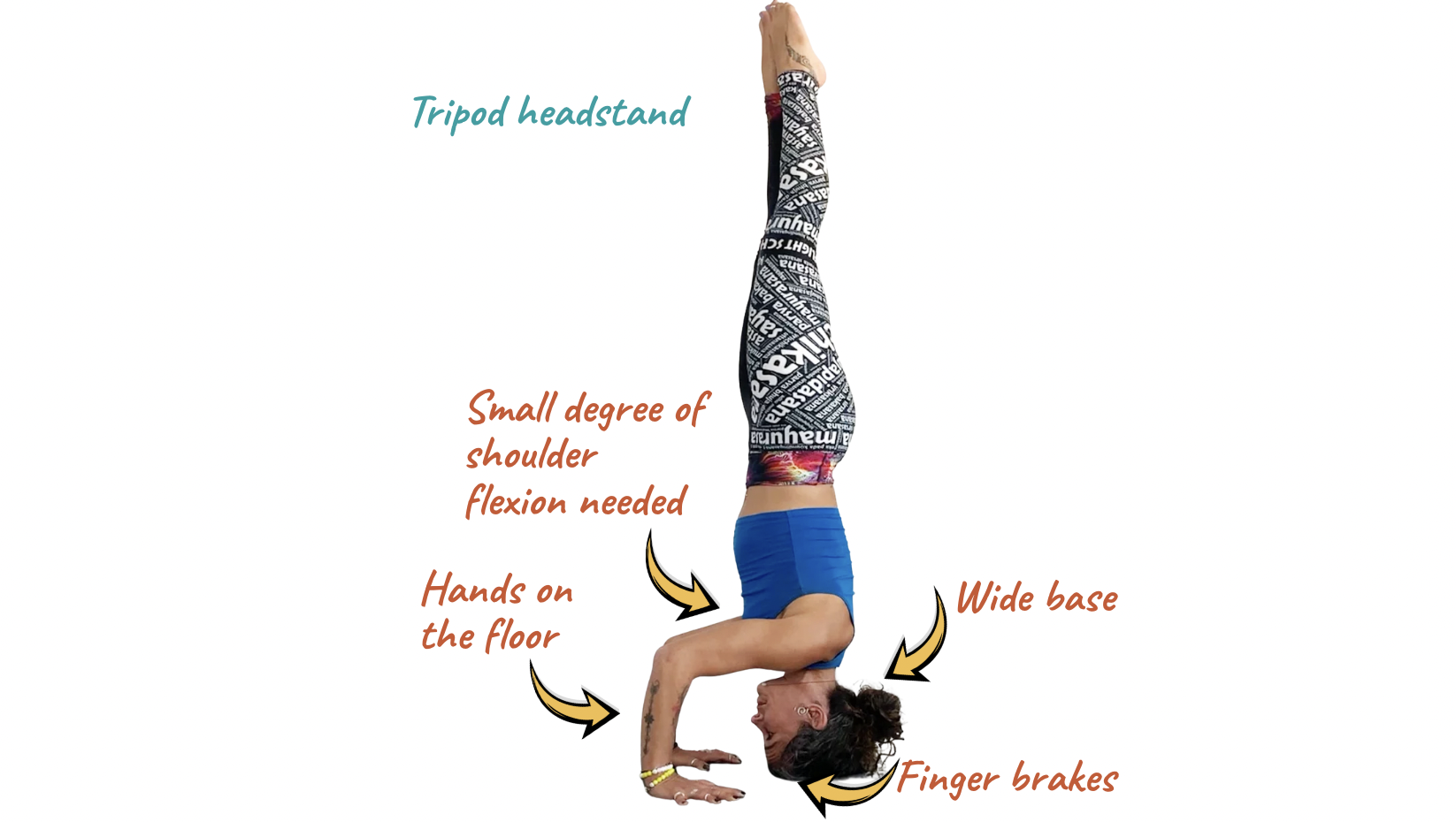 Tripod Headstand Alignment