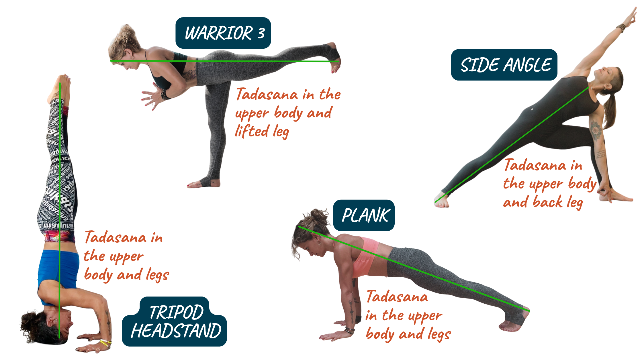 Several poses with the Tadasana inside each one pointed out