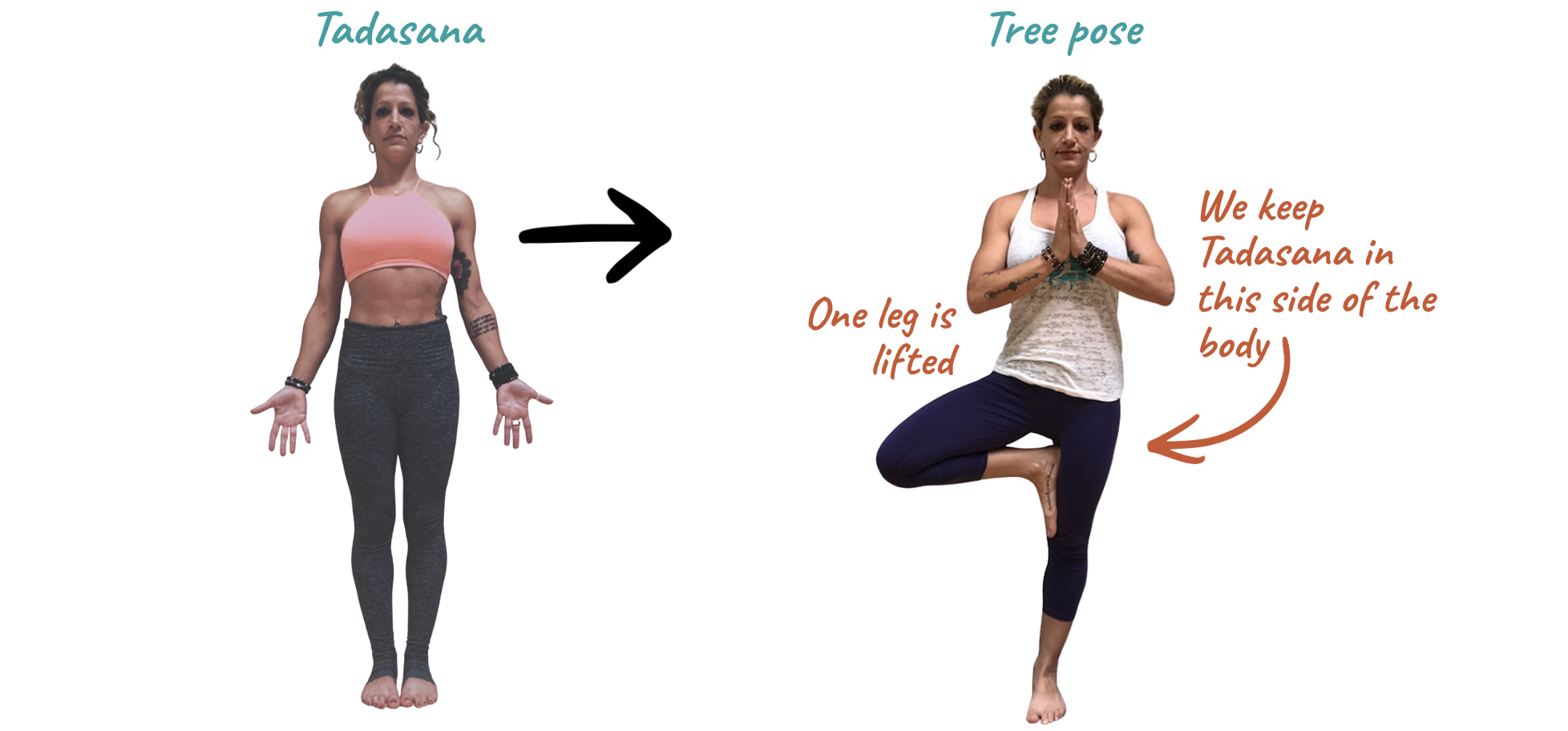 Tadasana and Tree Pose side by side, showing how much of Tree is still Tadasana