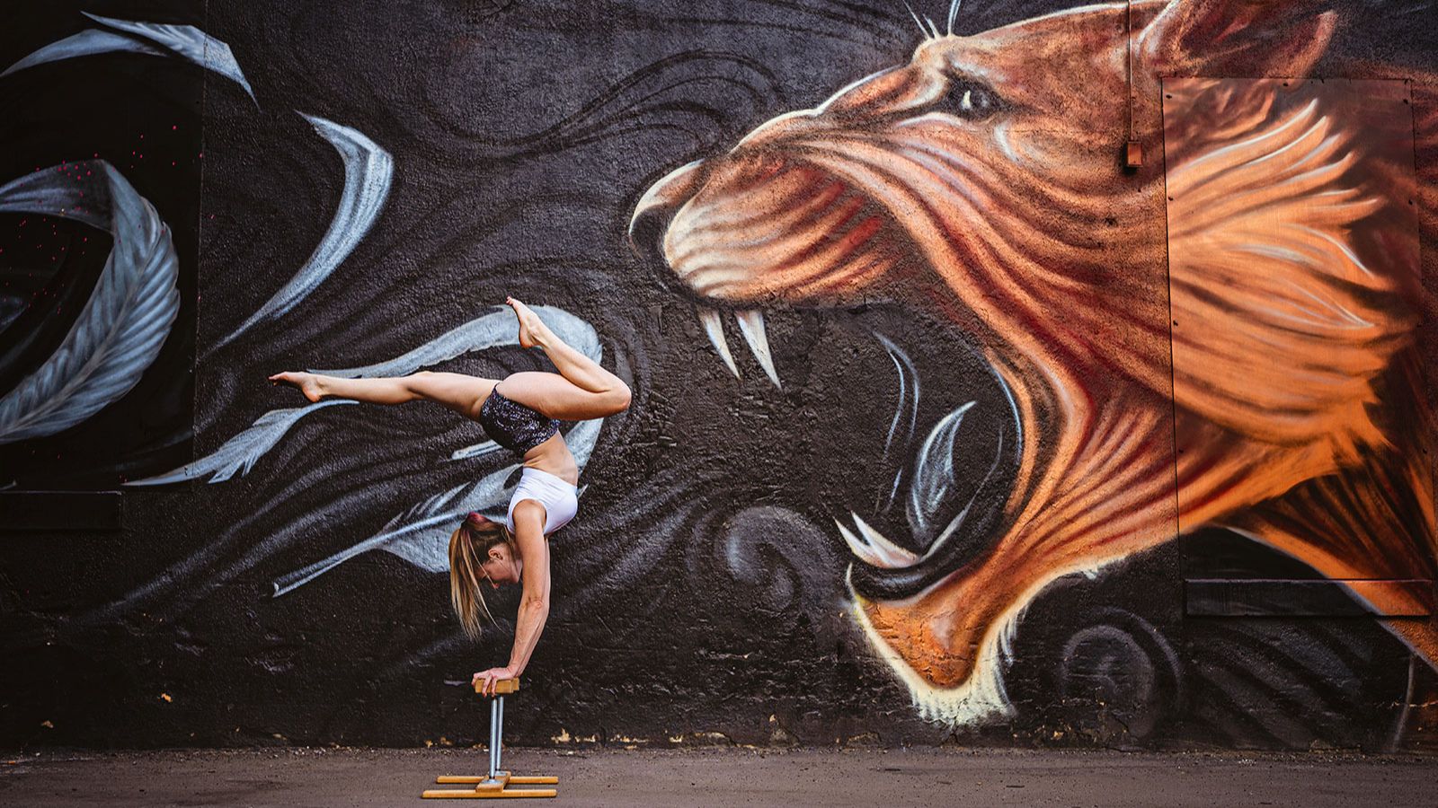 Calisthenics & Handstand Coach