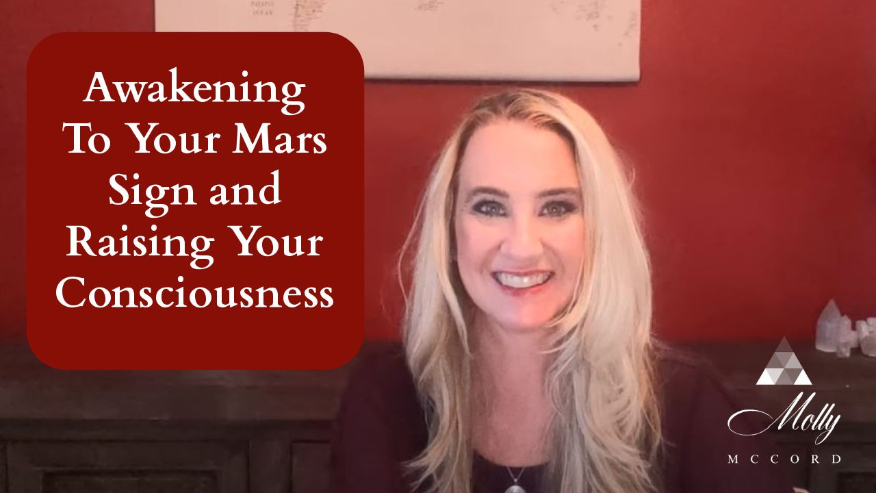 Business Advice For Authors Solopreneurs Healers And Artists