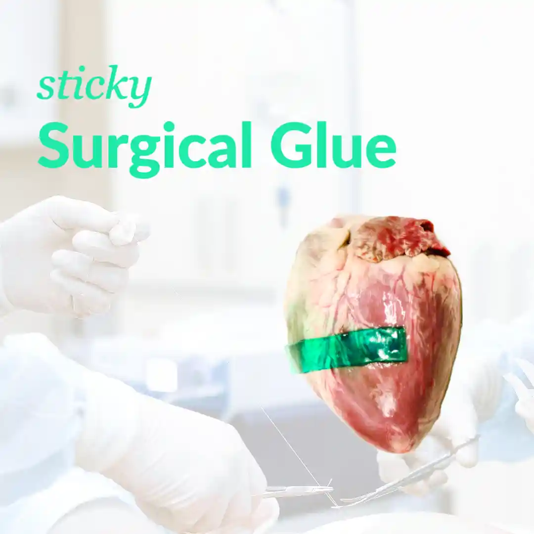 New Surgical Glue Inspired by Slug Slime