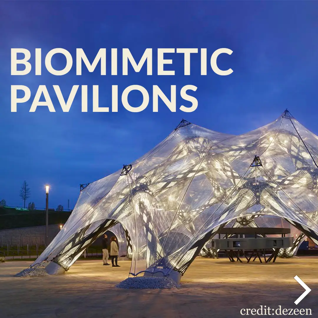 The Top 10 Real World Examples of Biomimicry in Architecture