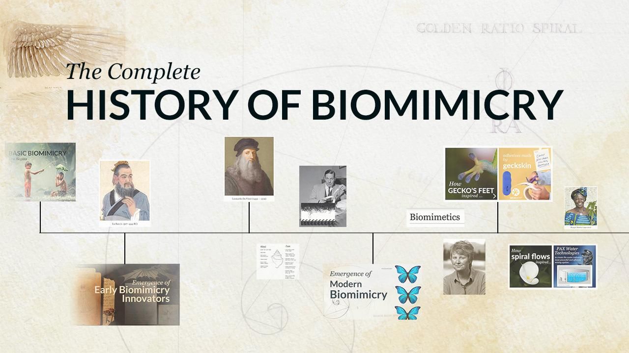 Decade-by-Decade Timeline of the 20th Century