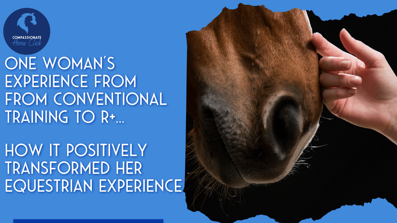 One Woman's Experience from Traditional to R+ Horse Training