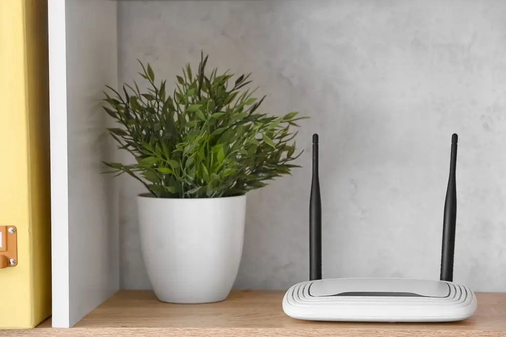 Home wi-fi router next to a houseplant.