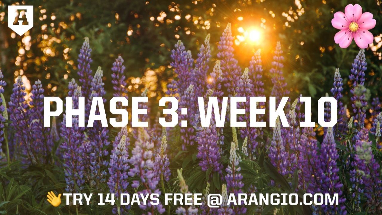 Spring Phase 3: Week 10 | Arangio