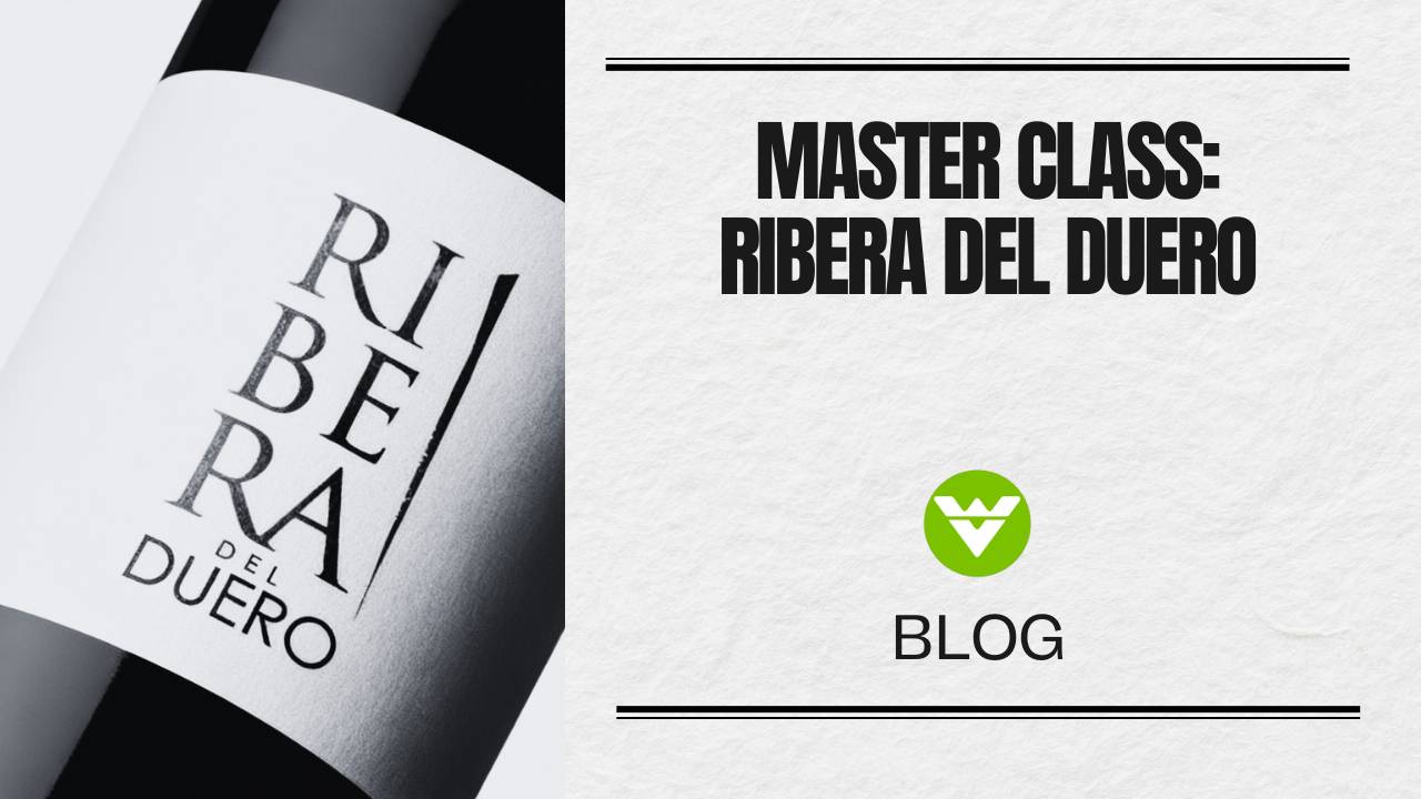 RIBERA DEL DUERO