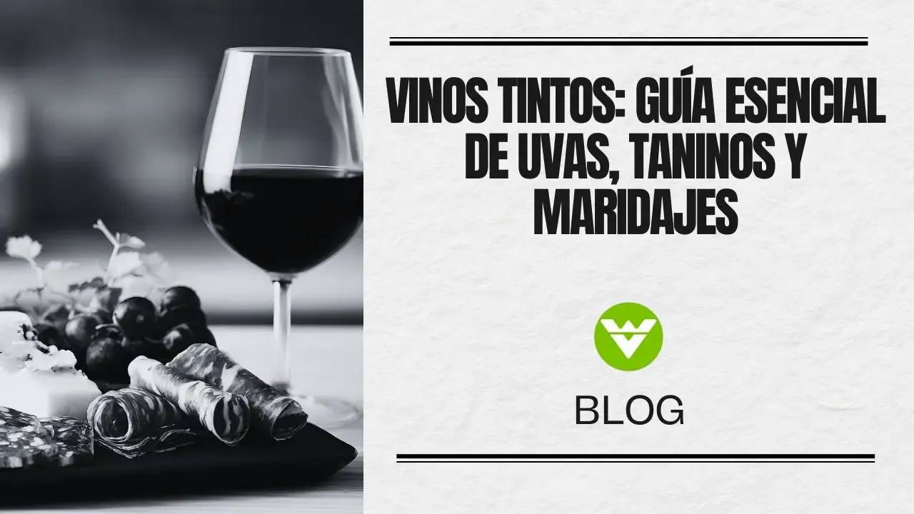 Vinos Tintos: Tipos de Uva, Taninos y Maridajes Esenciales