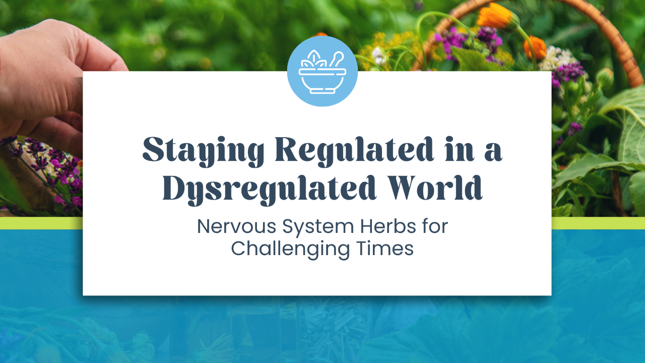 Staying Regulated in a Dysregulated World: Nervous System Herbs for Challenging Times