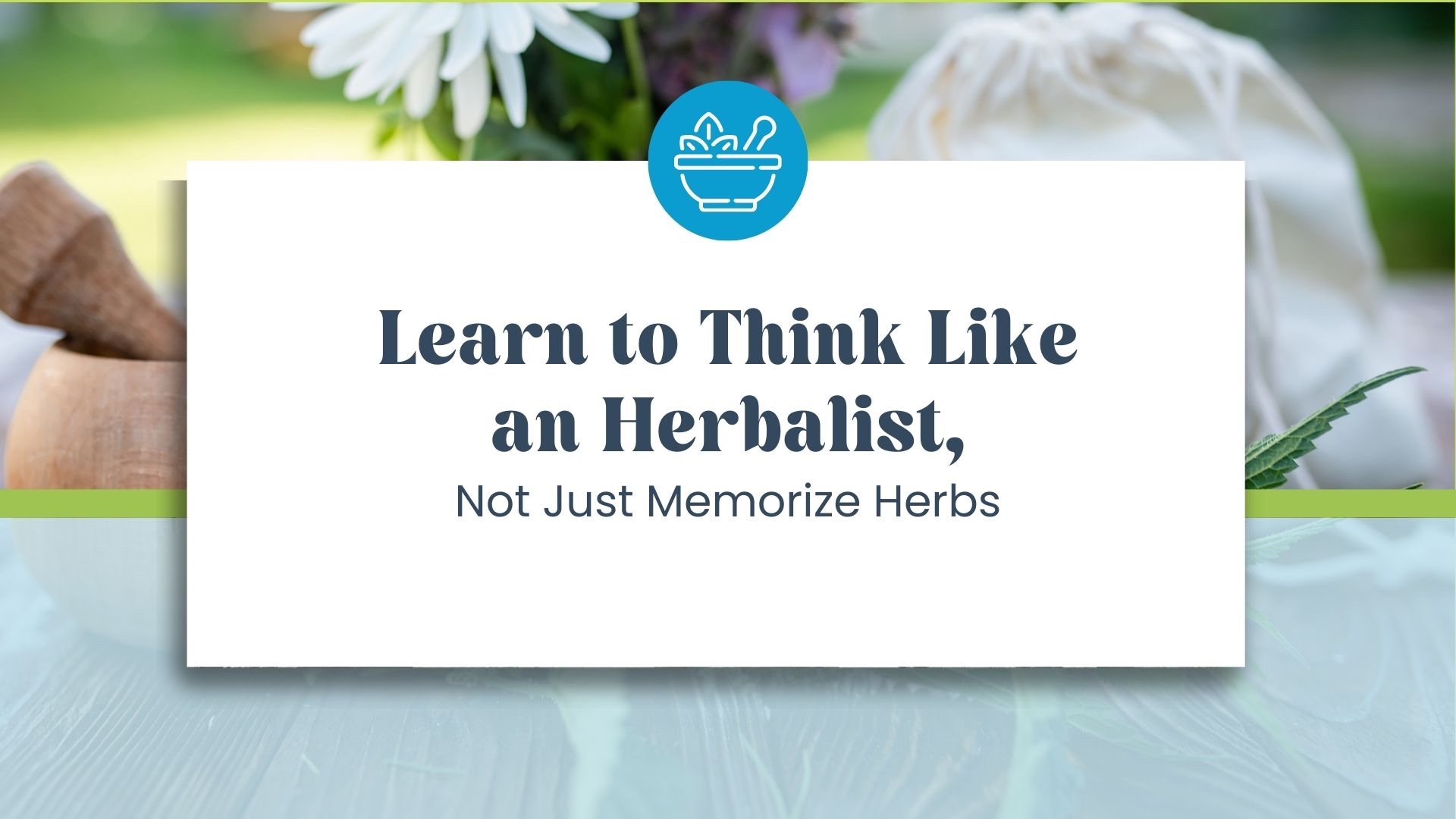 learn to think like an herbalist, not just memorize herbs. A blog for budding herbalist wanting to feel more confident in their practice