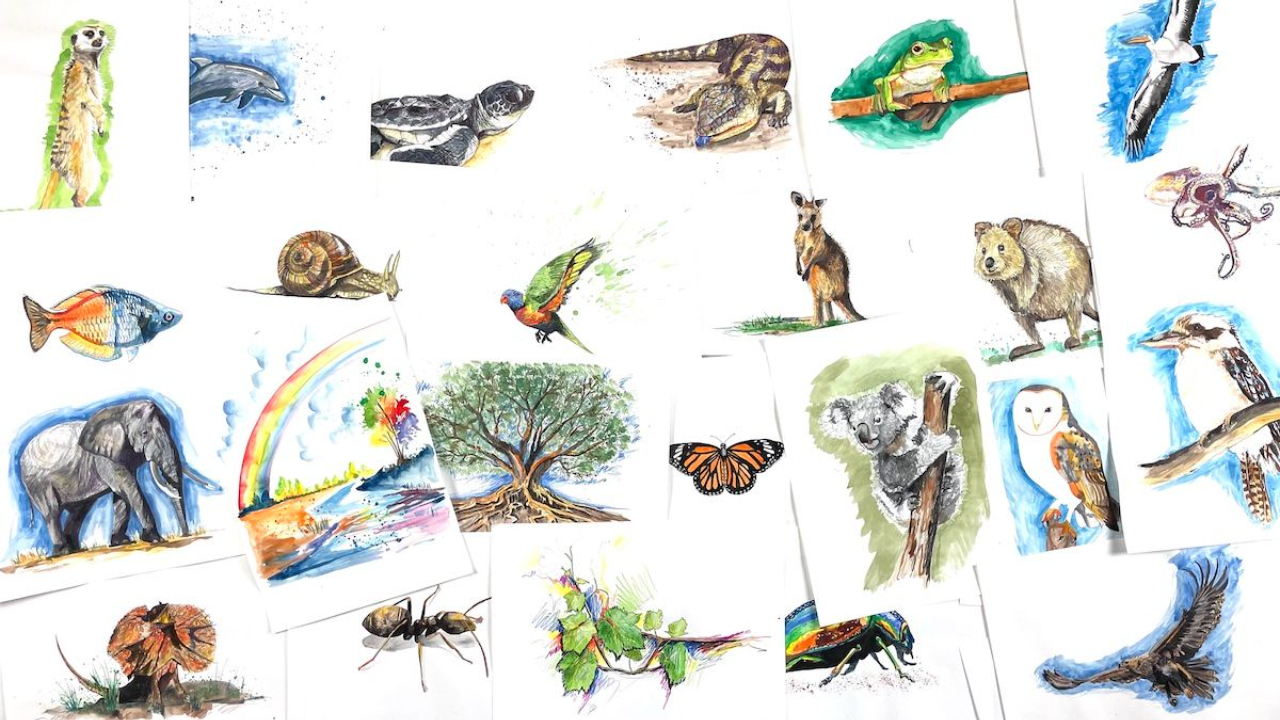Animal artwork illustrations representing the 24 character strengths in Artventure’s Mindful Moments story-led wellbeing program for kids.