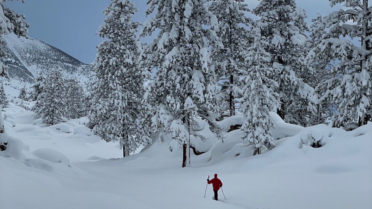 Strategies for Unsettled Times