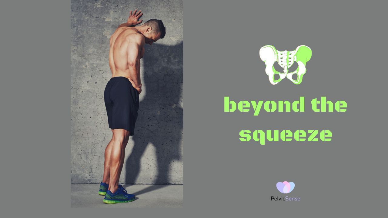 pelvic floor muscles in men