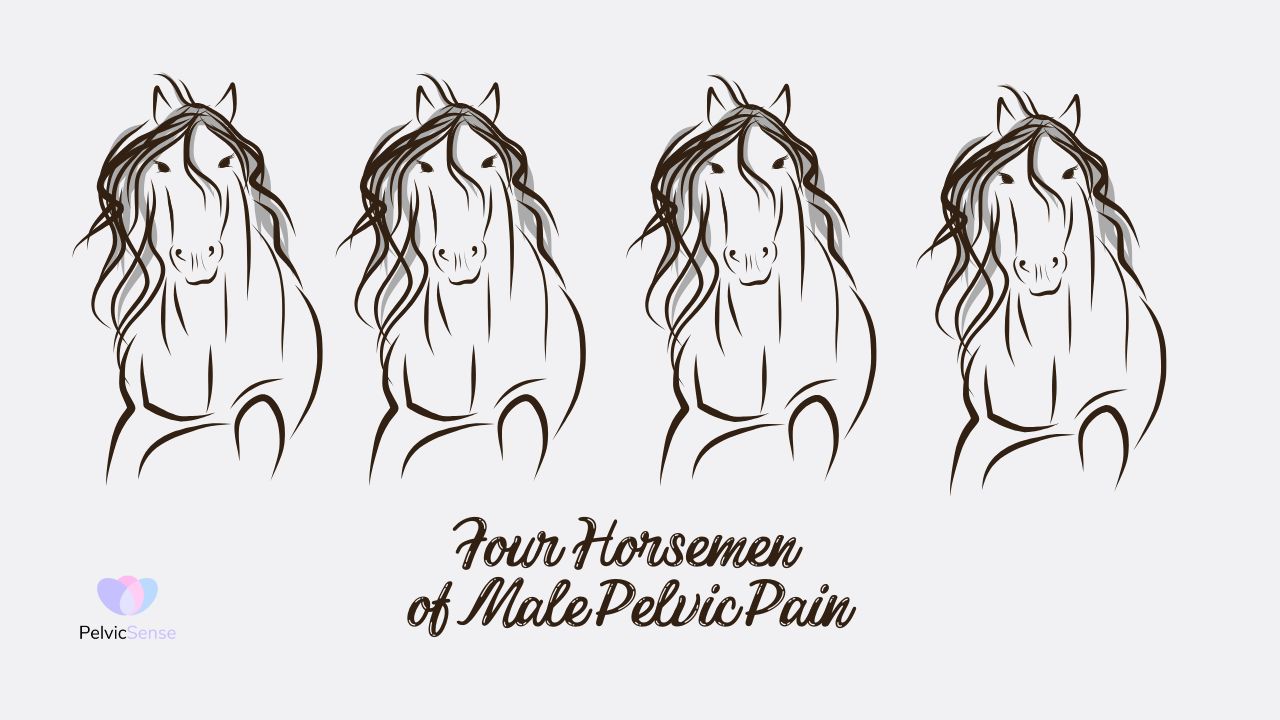 Four Horsemen of Male Pelvic Pain