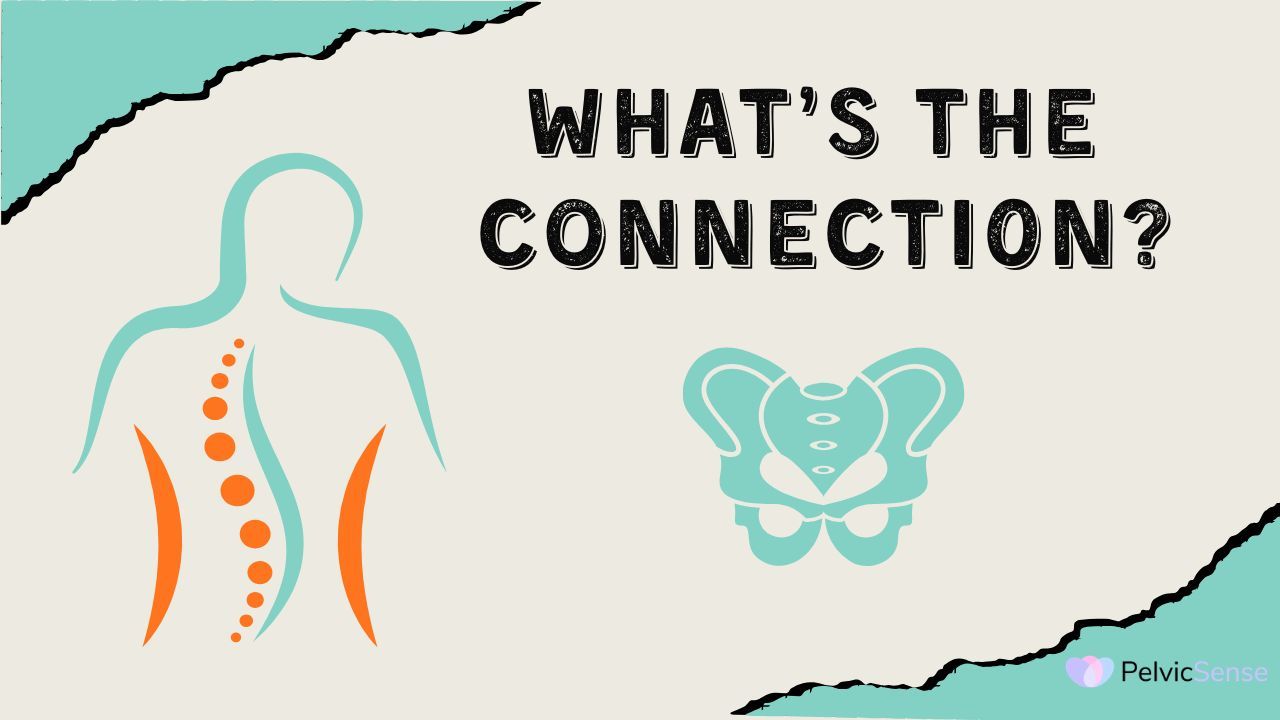 Connection between Lower Back and Pelvic Pain female