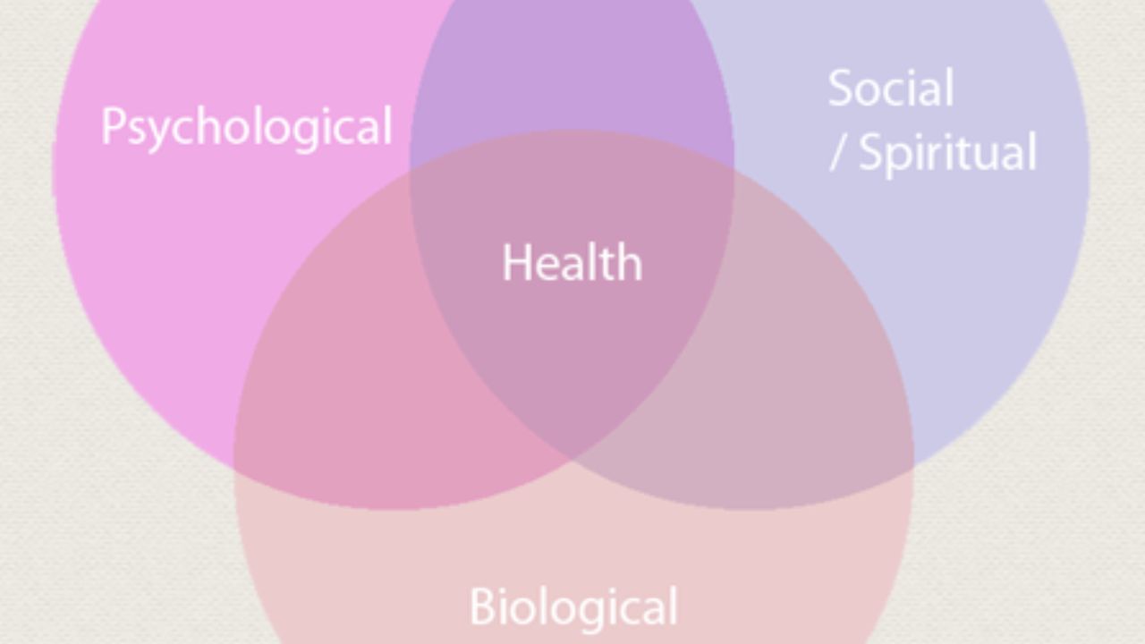 Biopsychosocial Model to Pelvic Healing