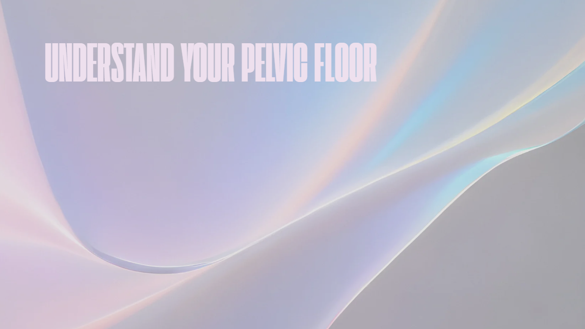 Understand Pelvic Floor