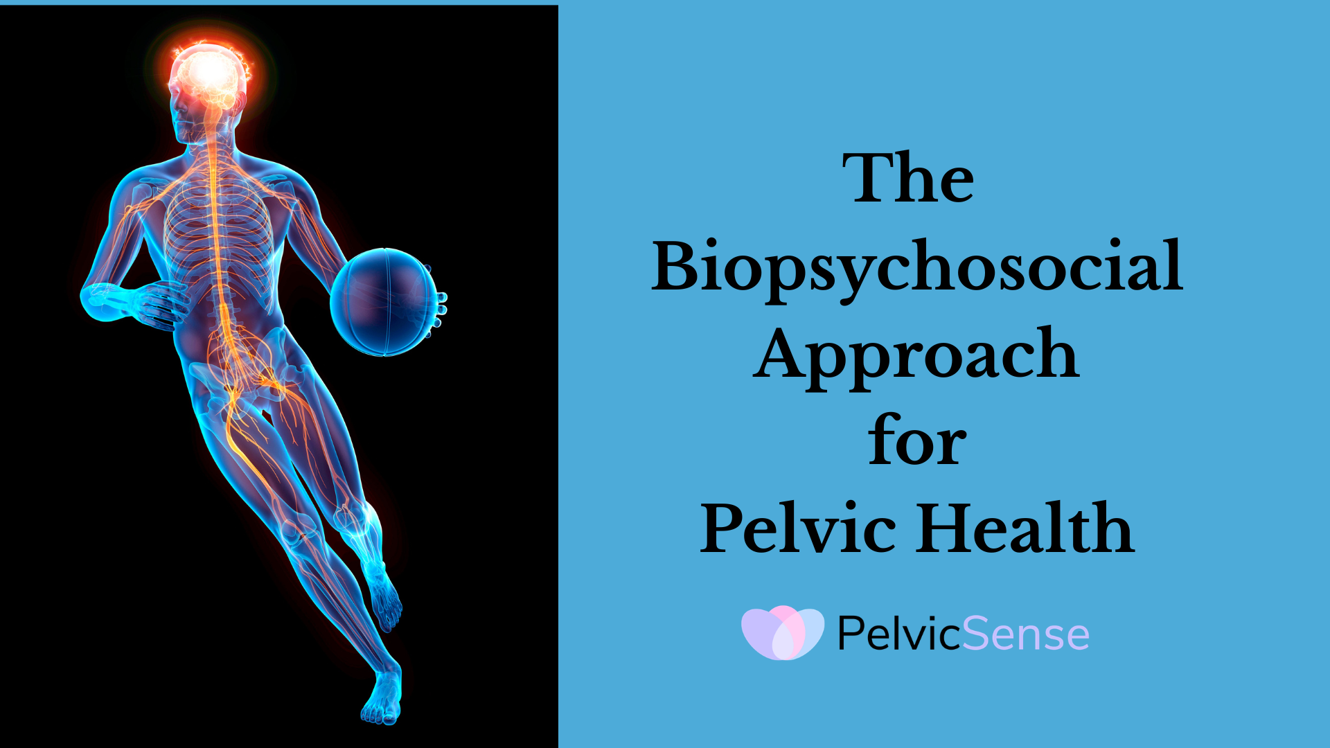 The Biopsychosocial Approach