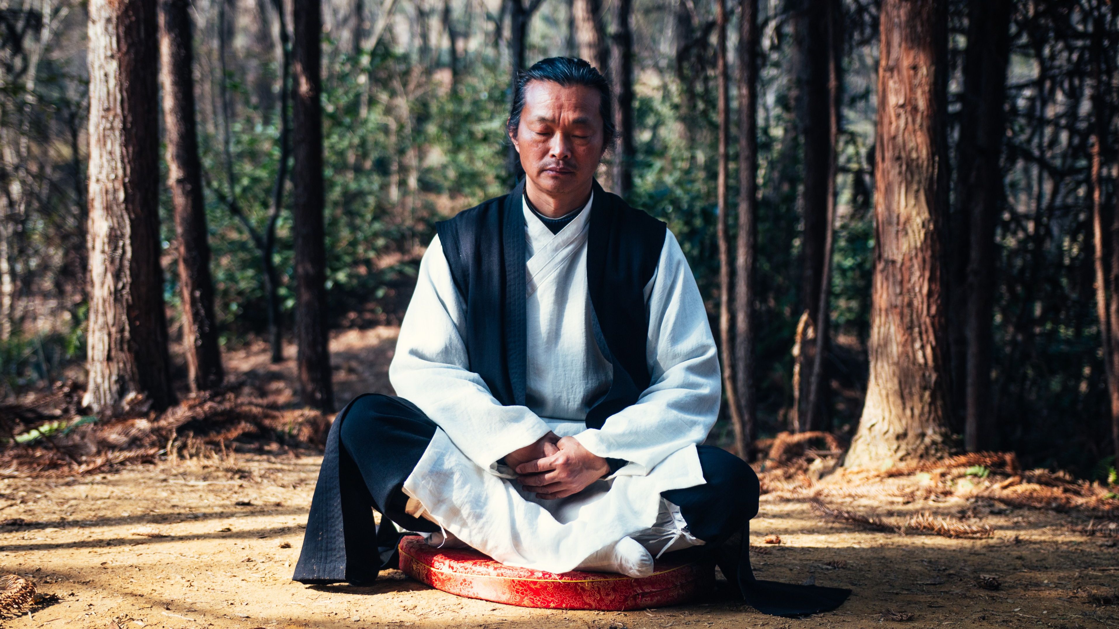 Understanding the Principles of Taoism: A Beginner's Guide