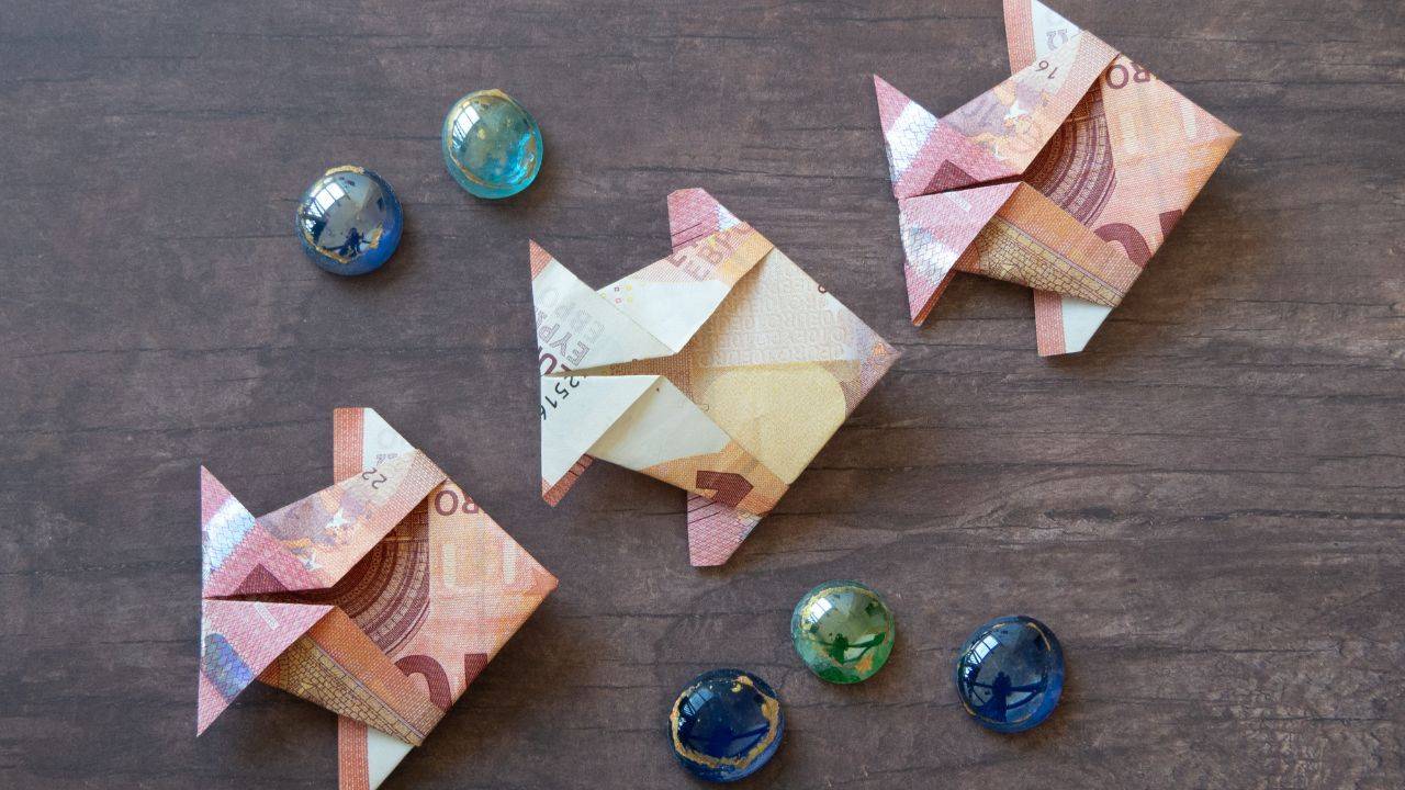 money origami in fish shapes