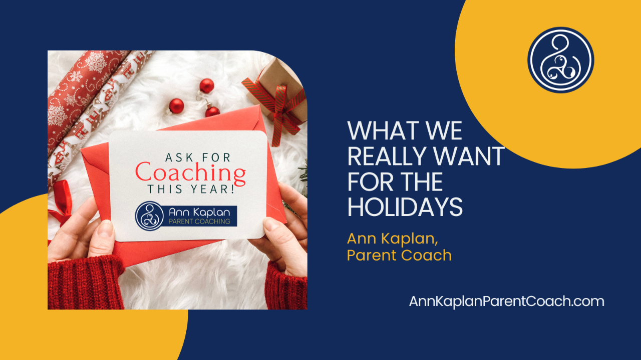 What We REALLY Want for the Holidays