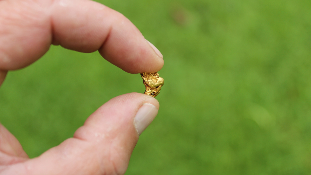 Person holding a nugget of gold with grass as background